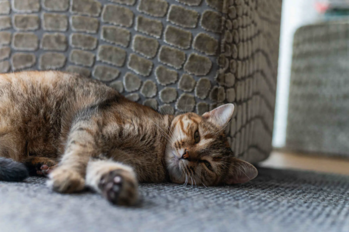 Keuken Ijsselstein | Zenner Keukens